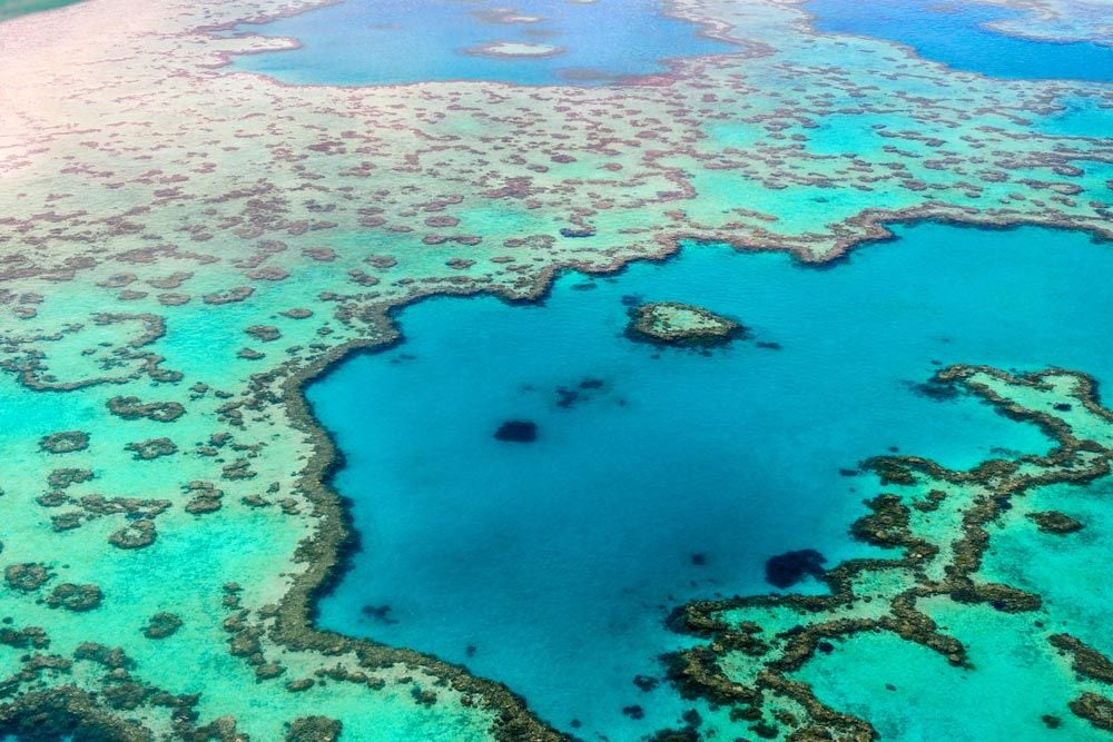 When Is The Best Season To Visit Tropical North Queensland? When Is The Best Season To Visit Tropical North Queensland?